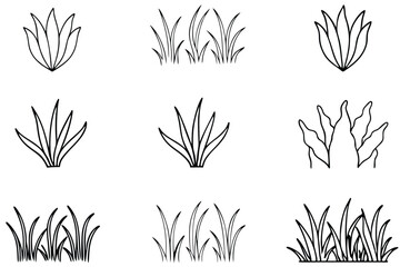 Seagrass Beds Line Art Illustration for Nature Inspired Design  