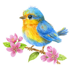 Baby bird sitting on branch with spring sakura flowers. Watercolor illustration for greeting card or invitation..