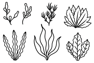Seaweed Line Art Illustration Elegant Design for Visual Projects  