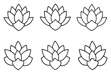 Sedum Leaf Line Art Drawing for Detailed Floral Artwork  