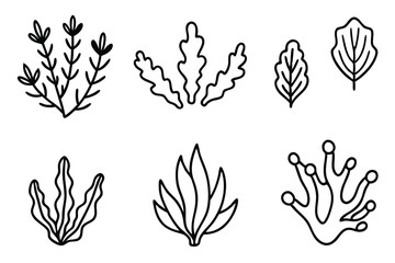 Seaweed Line Art Illustration Elegant Design for Visual Projects  