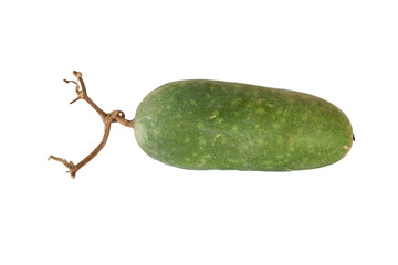 Green pumpkin isolated on white background