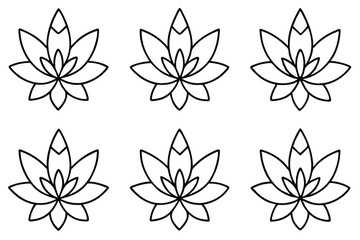 Sedum Leaf Line Art Illustration for Botanical Art Projects  