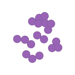 Streptococcus pneumoniae bacteria. Vector bacterial microorganism illustration 
