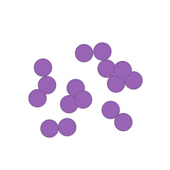 Streptococcus pneumoniae bacteria. Vector bacterial microorganism illustration 