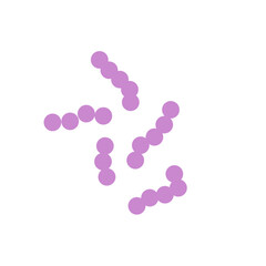 Streptococcus bacteria. Streptococcus pyogenes cells. Vector illustration 