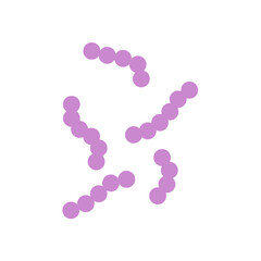 Streptococcus bacteria. Streptococcus pyogenes cells. Vector illustration 