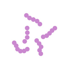 Streptococcus bacteria. Streptococcus pyogenes cells. Vector illustration 