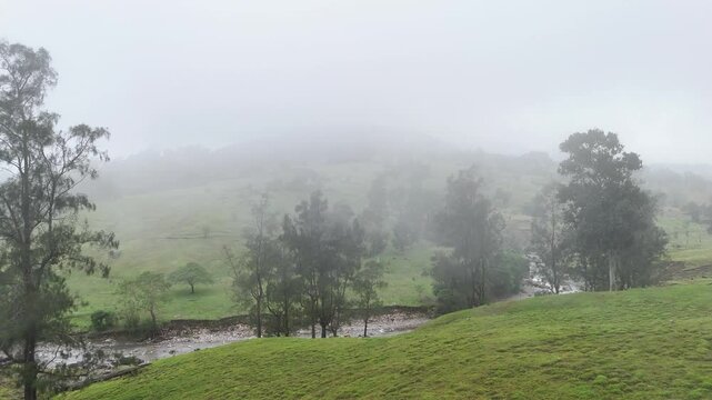 Dense forest on hillside surrounded by misty meadows and towering mountains
