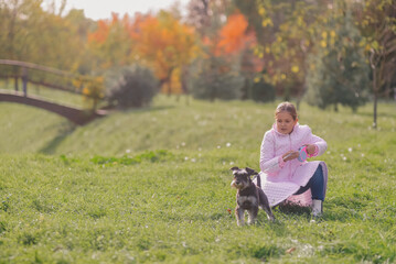 Girl holding leash training miniature schnauzer puppy in green park during autumn