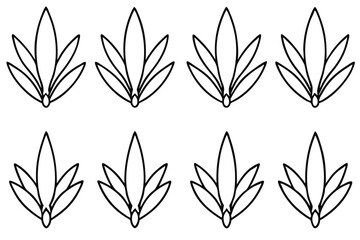 Senecio Leaf Line Art Creative Drawing for Floral Artwork  