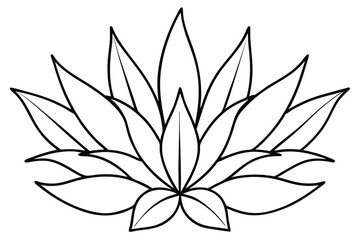 Senecio Leaf Line Art Detailed Design for Botanical Illustration  