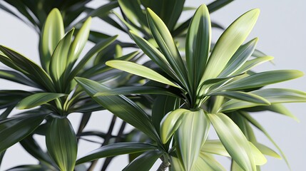Bright Green Palm Leaves on Clean White Background in Photorealistic Style