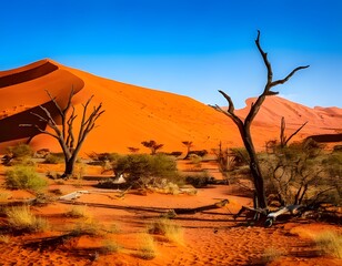 Tree in the desert landscape with a sunset sky, surrounded by sand dunes, rocks, and mountains, capturing the dry, scenic wilderness of a canyon