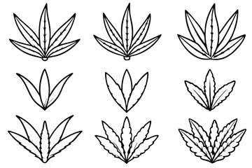 Senecio Leaf Line Art Simple Style for Modern Artwork  