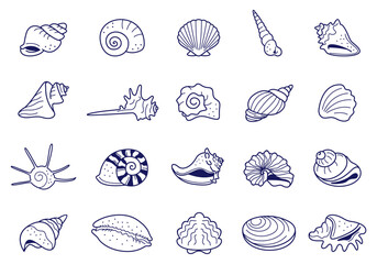Shell Stock Line Illustration Element Set