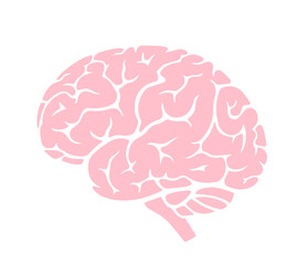 Pink human brain silhouette with visible folds and stem, mental structure, cognitive function, neuroscience, anatomy, power of brain in knowledge, processing, perception, emotional regulation.