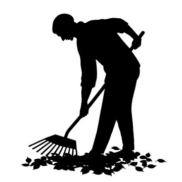 recommend clip art: Silhouette of person raking fallen autumn leaves during fall season in long-sleeved shirt, pants, bending forward during seasonal leaf fall, gardening, autumn work, care, cleaning, seasonal outdoor ga