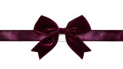 Burgundy Velvet Bow and Ribbon Isolated on White