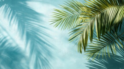 Palm Leaves and Shadows on a Teal Wall