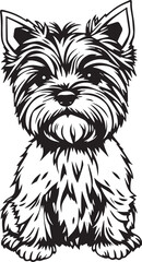 Yorkshire terrier dog. Hand drawn vector illustration	