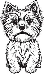 Yorkshire terrier dog. Hand drawn vector illustration	