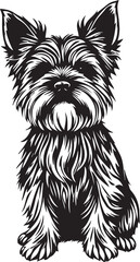 Yorkshire terrier dog. Hand drawn vector illustration	