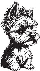 Yorkshire terrier dog. Hand drawn vector illustration	