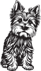 Yorkshire terrier dog. Hand drawn vector illustration	