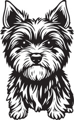Yorkshire terrier dog. Hand drawn vector illustration	