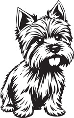 Yorkshire terrier dog. Hand drawn vector illustration	