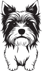 Yorkshire terrier dog. Hand drawn vector illustration	