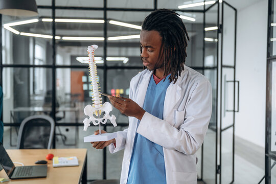 Man doctor is showing the model of human spine