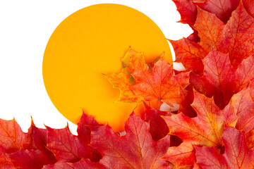 Autumn leaves