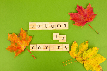 Autumn is coming