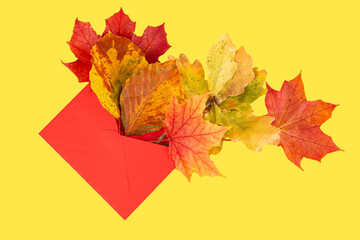 Autumn leaves