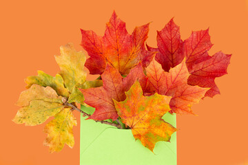 Colorful autumn leaves in the green envelope on orange background.