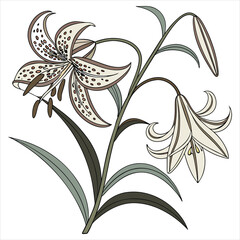 Hyper-Detailed Botanical Illustration on White Background