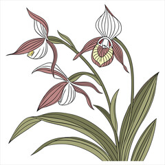Hyper-Detailed Botanical Illustration on White Background