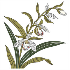 Hyper-Detailed Botanical Illustration on White Background