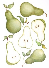 Green pears and pear halves hand painted with watercolor on the white background.