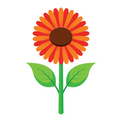 Stylized Orange Gerbera or Mexican Sunflower Vector Illustration
