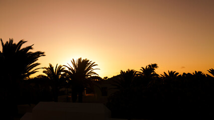 Obraz premium Orange sunrise over palm tree silhouettes