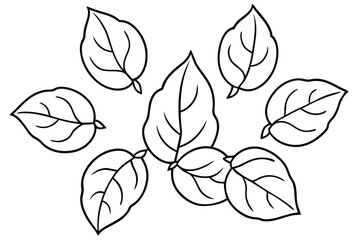 Soybean Leaf Line Art Elegant Design for Nature Illustration 
