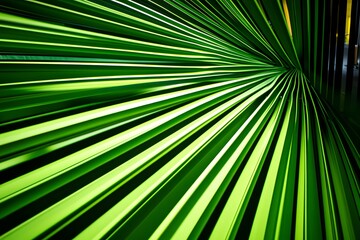 Obraz premium Vibrant Green Palm Leaf Abstract Background Texture