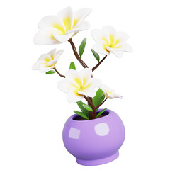 3d plumeria flower in pot render. Tropical frangipani tree with white yellow flowers, branches and green leaves. Cartoon exotic plant for summer garden, home interior decor or spa
