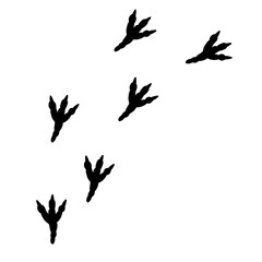 Hand drawn dinosaur footprints 