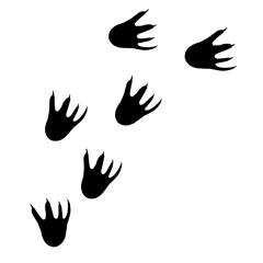 Hand drawn dinosaur footprints 