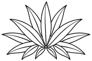 Spider Plant Leaf Line Art Creative Design for Illustration Artwork  