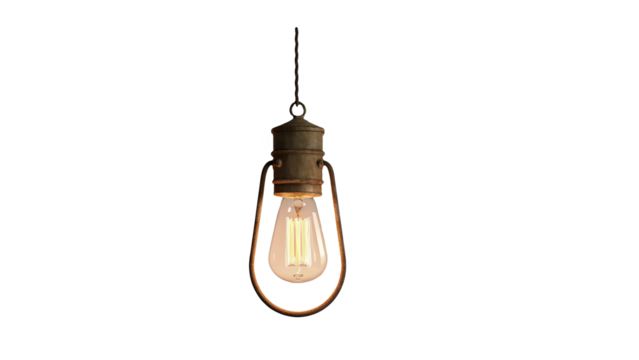 An antique-style bulb that adds warmth and a nostalgic glow to vintage-inspired designs.